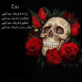 دانلود آهنگ فرهاد عبدالهی روح